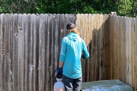 Fence Cleaning Thumbnail